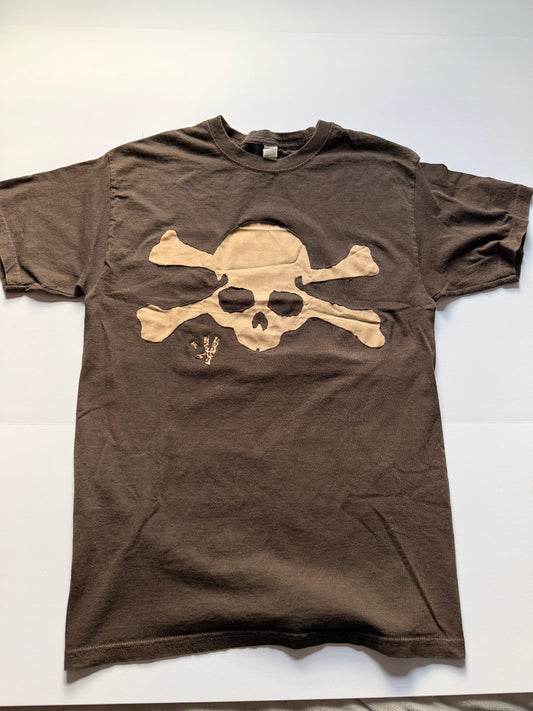 Desert skull